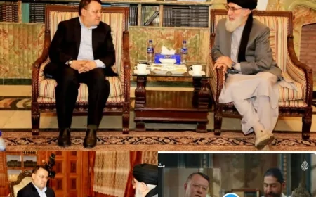 ‏زیدان: د حکمتیار او احمد شرع په سیرت، تواضع، لیدلوری او قوي متحرک قیادت کي ورته والې له ورايه څرګند وو