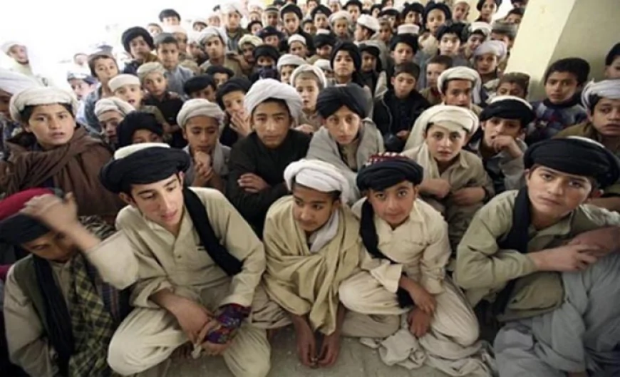 ځوان قشر دې هرو مرو دا ليکنه ولولي