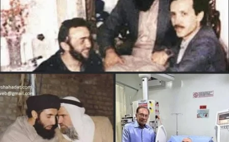 برای ما گرگ و به دیگران قهرمان...