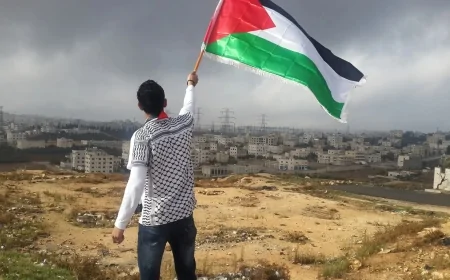 د فلسطيني اولس  شتون  له منځه وړلو منظمې هڅې !!