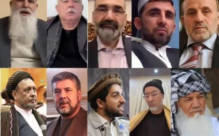 کرایي ځواکونه، ناپوهۍ او د نظام ویجاړتیا: د واک او مسؤلیت ژوره عبرت