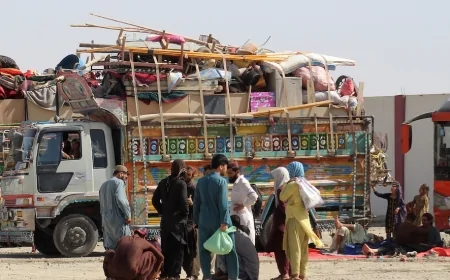 ‏ایا افغانان دومره حق نه لري چې لږ تر لږه د ورورګلوۍ په رڼا کې، په عزت سره خپل وطن ته ستانه شي؟