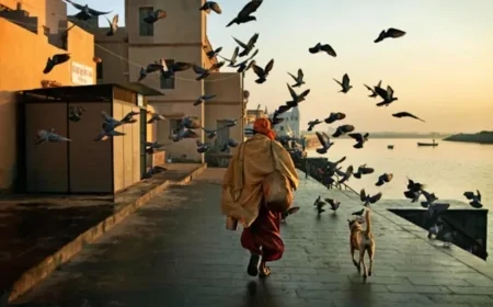 طبع استبداد پرست