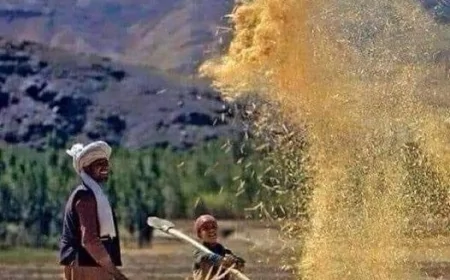 وطن؛ د روح هنداره او د باورونو پټ سمندر