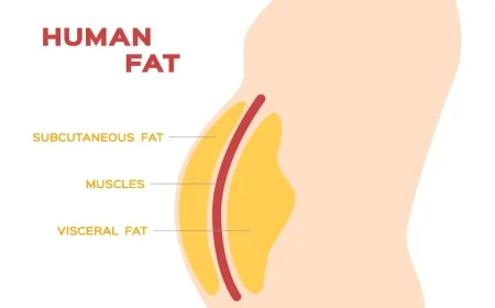 چربي خوراک او غلط فهمي