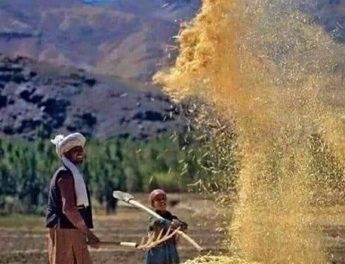 وطن؛ د روح هنداره او د باورونو پټ سمندر