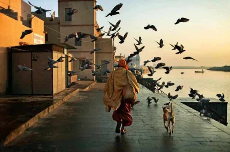 طبع استبداد پرست