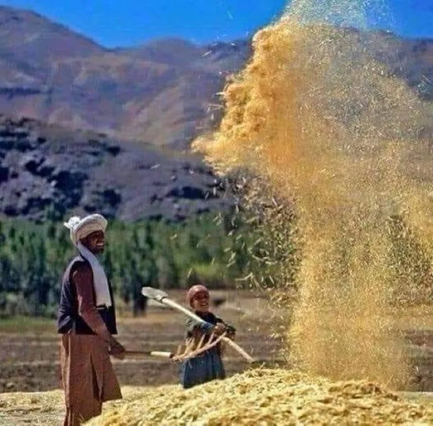 وطن؛ د روح هنداره او د باورونو پټ سمندر