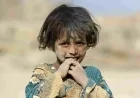 بيا بريم پاکستان؛ لنډه کيسه