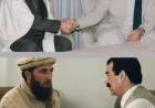 د اصولو غږ او د واک ازموینه — د حکمتیار سپارښتنې او د قذافي او صدام برخلیک