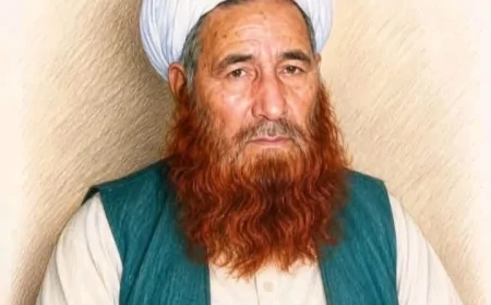 به مناسبت بیستمین سالگرد رحلت مرحوم مولوی محمد یونس خالص (رحمه‌الله)