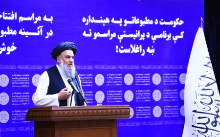 د اطلاع‌ رسونې بهیر د پیاوړتیا په موخه د همغږۍ ناسته ترسره شوه