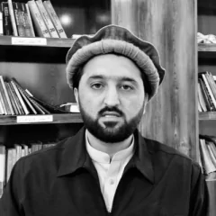 دوکتور عبد الحی قانت